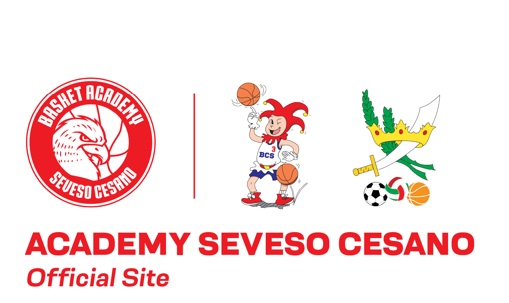 A.S.D. Basket Cesano Seveso 2011